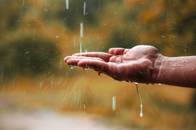 Cómo encontrar protección divina durante la lluvia